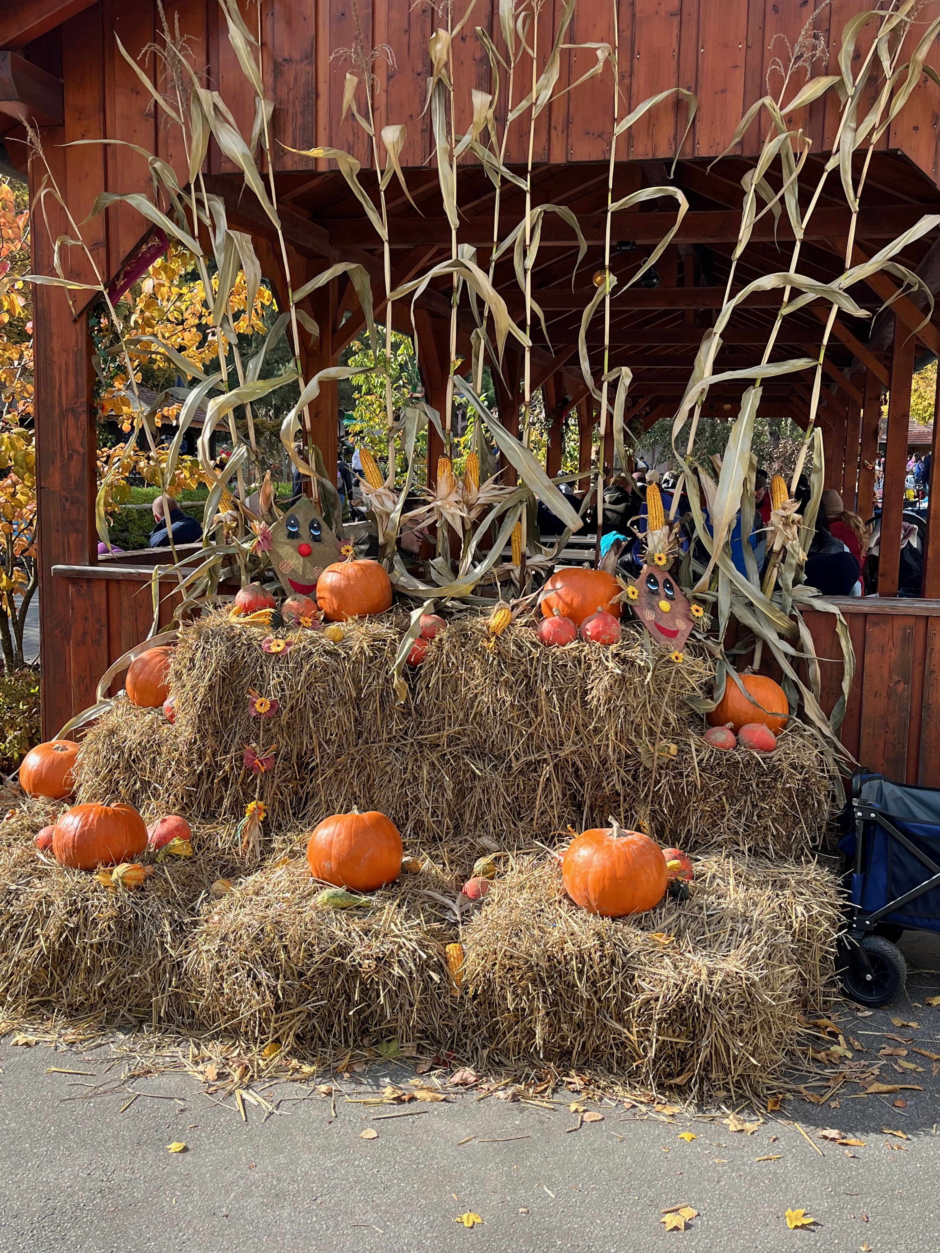 2025 vereinsausflug bayernpark 2 20251023 1457149279
