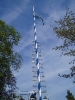 Maibaum aufstellen und Maifeier