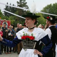 Maibaum aufstellen und Maifeier