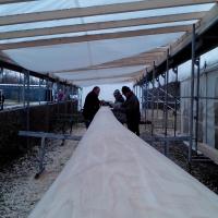 Arbeiten am Baum & Wachen