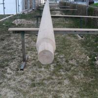 Arbeiten am Baum & Wachen
