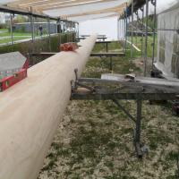 Arbeiten am Baum & Wachen