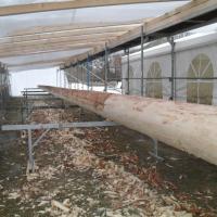 Arbeiten am Baum & Wachen