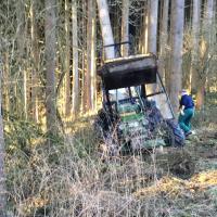 Der Baum fällt