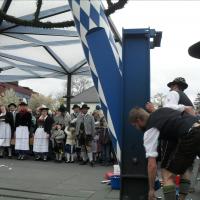 Maifeier und Maibaum aufstellen