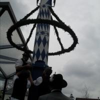 Maifeier und Maibaum aufstellen