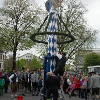 Maifeier und Maibaum aufstellen