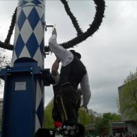 Maifeier und Maibaum aufstellen
