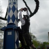 Maifeier und Maibaum aufstellen