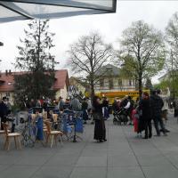 Maifeier und Maibaum aufstellen