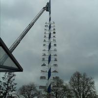 Maifeier und Maibaum aufstellen