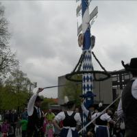 Maifeier und Maibaum aufstellen