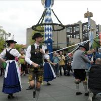 Maifeier und Maibaum aufstellen