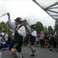 Maifeier und Maibaum aufstellen