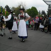 Maifeier und Maibaum aufstellen