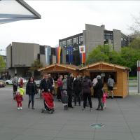 Maifeier und Maibaum aufstellen