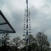 Maifeier und Maibaum aufstellen