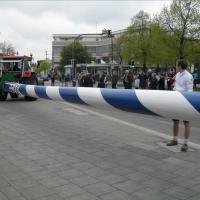 Maifeier und Maibaum aufstellen
