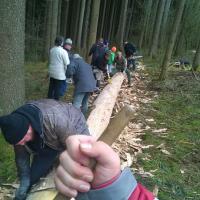 Maibaum Scheppsen