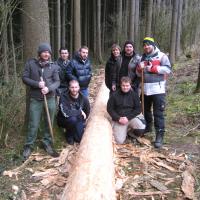 Maibaum Scheppsen
