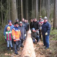Maibaum Scheppsen