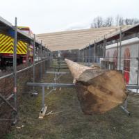 Transport und Ankunft