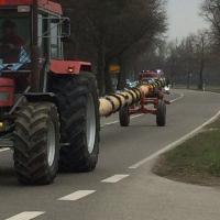 Transport und Ankunft