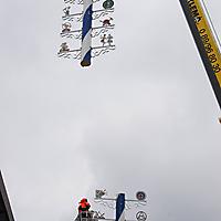 Maibaum einkürzen 17.05.2018_14