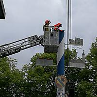 Maibaum einkürzen 17.05.2018_17