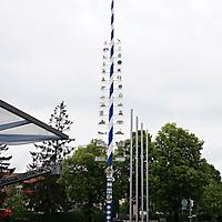 Maibaum einkürzen 17.05.2018_19