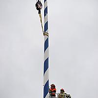 Maibaum einkürzen 17.05.2018_1