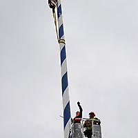 Maibaum einkürzen 17.05.2018_2