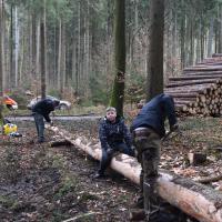 Baum scheppsen 15.02.2020