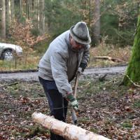 Baum scheppsen 15.02.2020