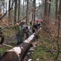 Baum scheppsen 15.02.2020