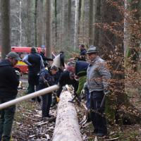 Baum scheppsen 15.02.2020