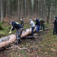 Baum scheppsen 15.02.2020